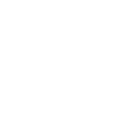 Bleu Technology